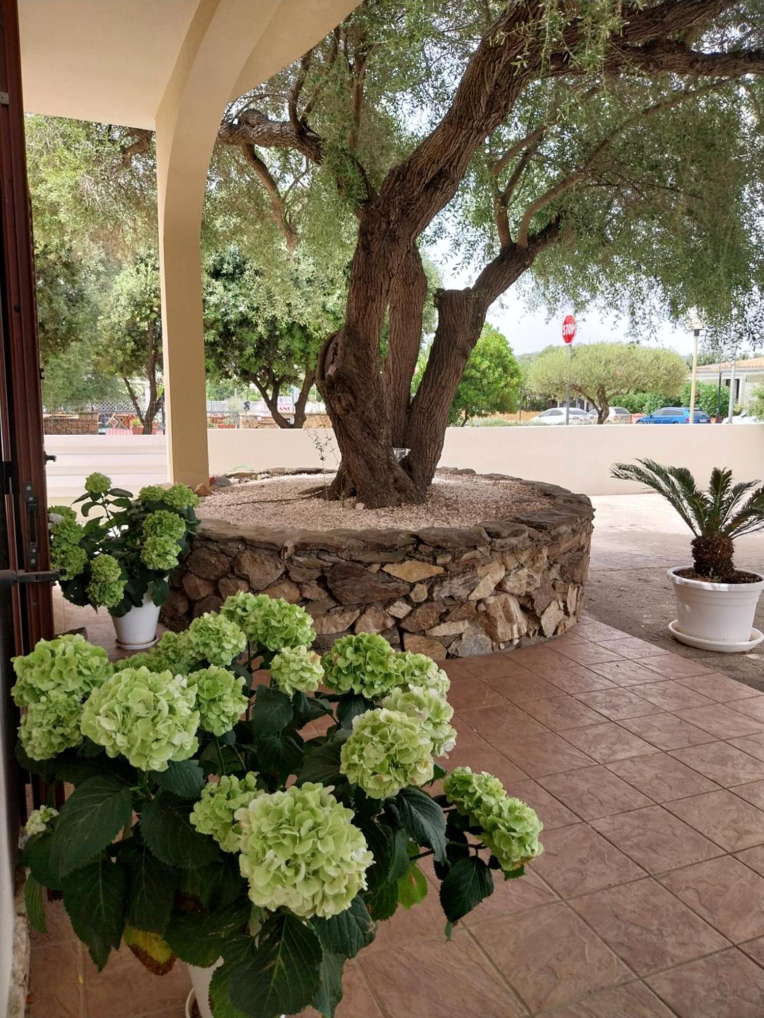 Mivida "Le Stanze Di Ada" Bed & Breakfast San Teodoro  Eksteriør bilde