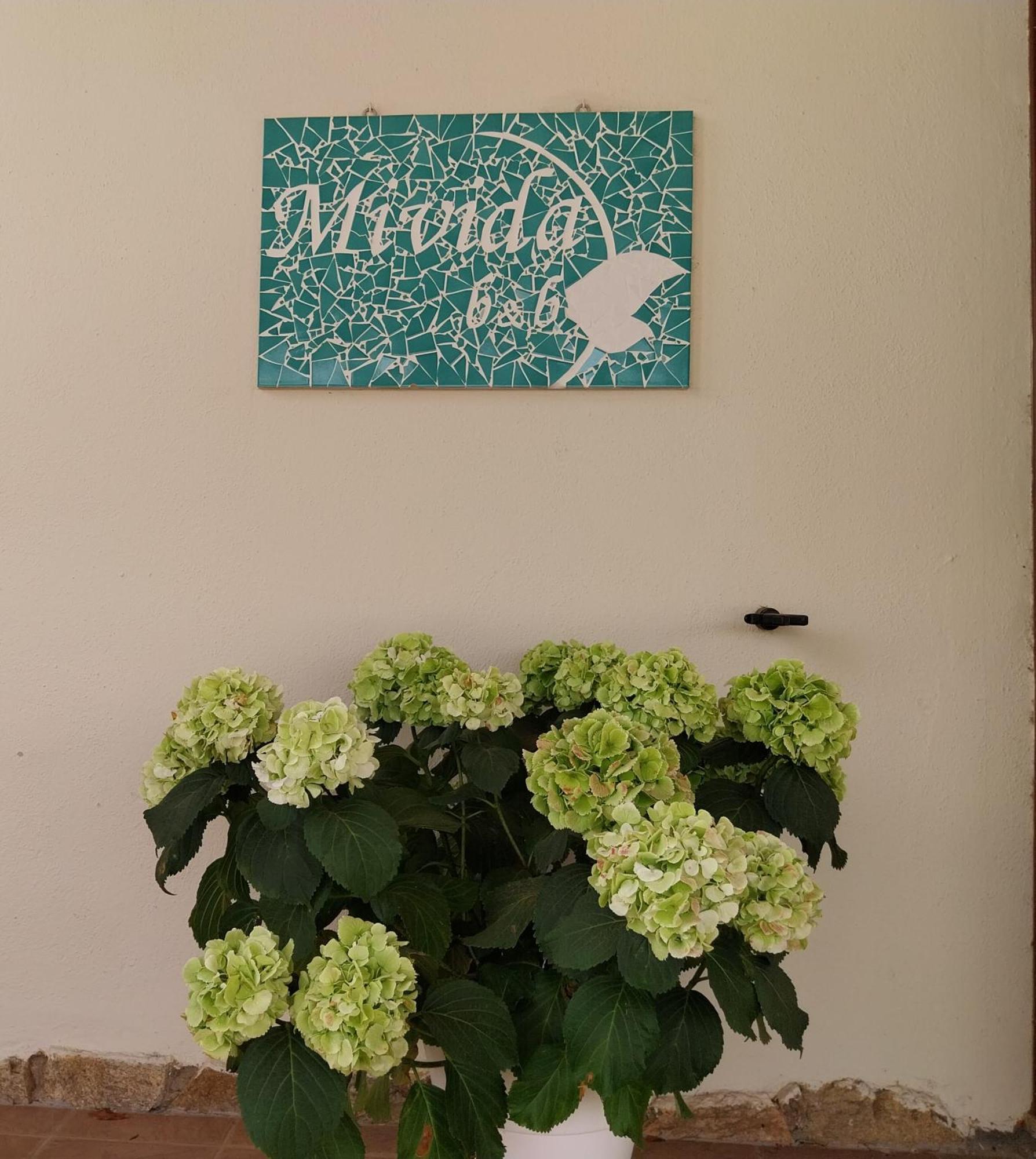 Mivida "Le Stanze Di Ada" Bed & Breakfast San Teodoro  Eksteriør bilde